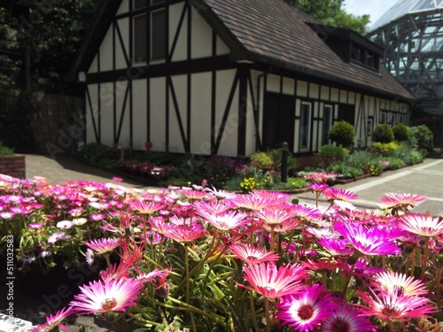 神戸布引ハーブ園