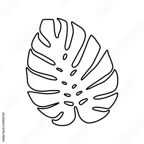 Monstera leaf icon vector. Tropical leaves illustration sign. Palm symbol or logo.