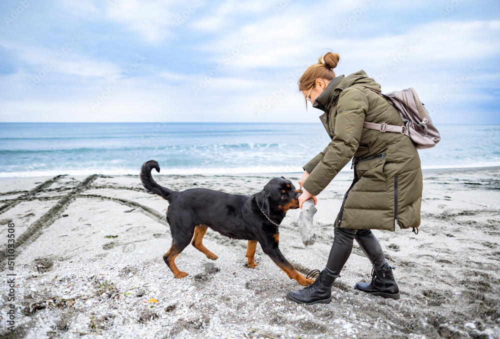 Woman playing with rottweiler dog in cold weather on the beach