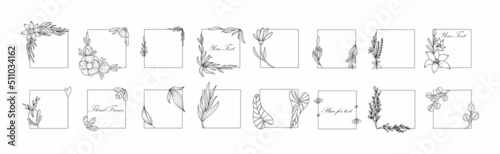 Botanical square frame. Hand drawn round line border, leaves and flowers, wedding invitation and cards, logo design and posters template. Elegant minimal style floral, vector isolated set