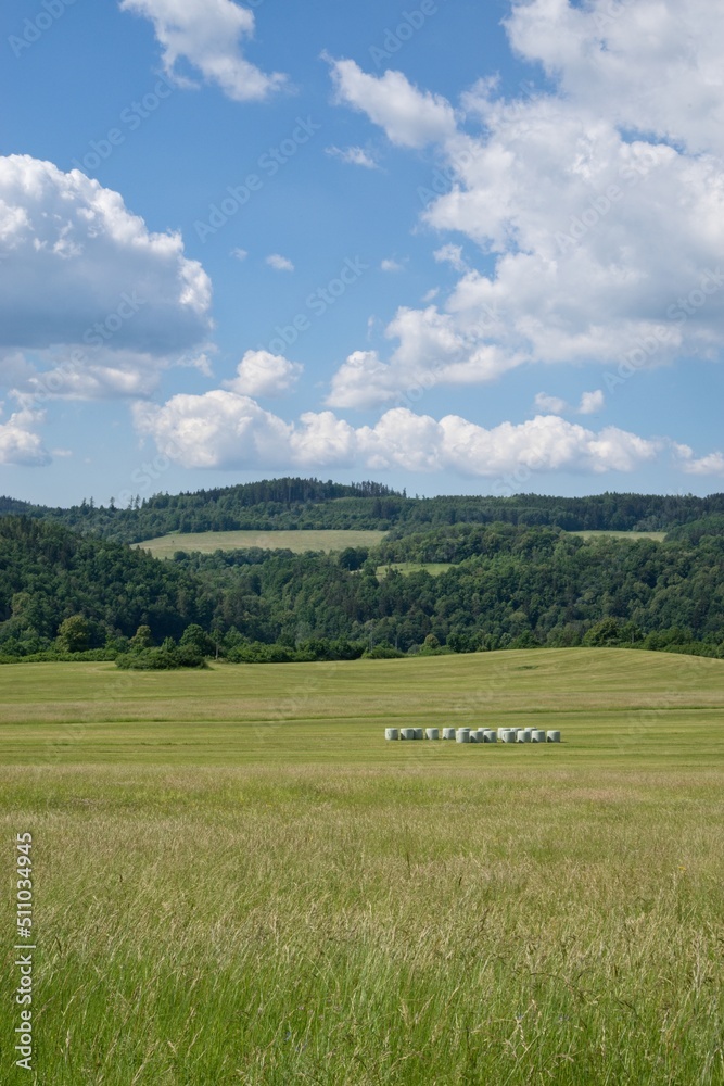 View of fences for horses, countryside, beautiful summer weather.