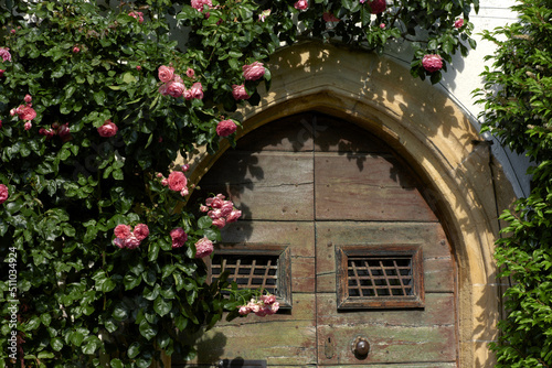  rose and old door in Estavayer-le-Lac of the Canton of Fribourg in Switzerland © hectorchristiaen