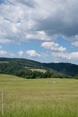 View of fences for horses  countryside  beautiful summer weather.