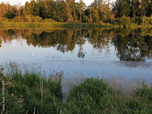 reflection in the water