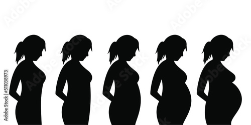 Main stages of pregnancy. Fetal growth by months. Pregnancy Calendar. Happy pregnancy and waiting process. Pregnancy and motherhood. Vector illustration in a flat style. Health care during pregnancy.
