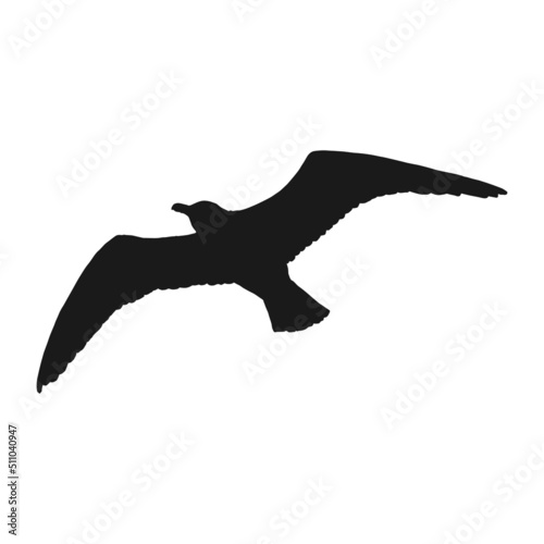 Silhouette of flying seagulls. Hand drawn illustration converted to vector.