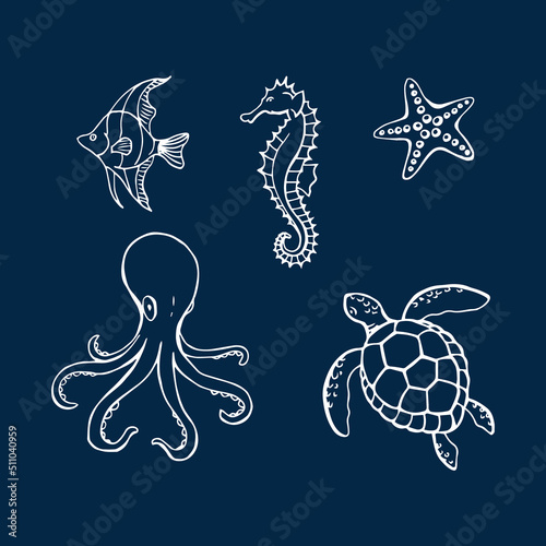 Sea or ocean underwater life with different animals. Hand drawn illustration converted to vector.