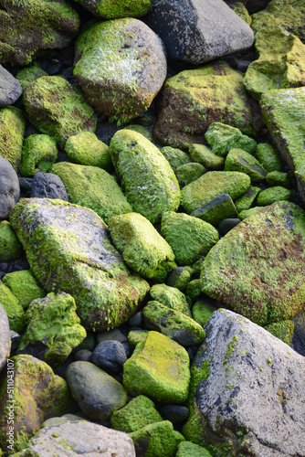 Piedras de distintos tamaños y colores en la playa