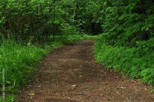 A forest is an area of land dominated by trees. Hundreds of definitions of forests are used worldwide  including factors such as tree density  tree height  land use  legal status  and ecological funct