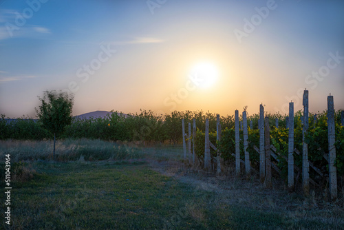 The sun or the moon