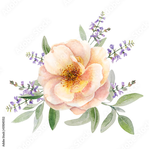 Watercolor delicate composition with wild roses and herbs. Pink flowers and sage leaves create gentle composition in shabby chic or romantic style.