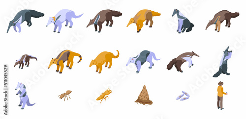Anteater icons set isometric vector. Animal ant. Big giant