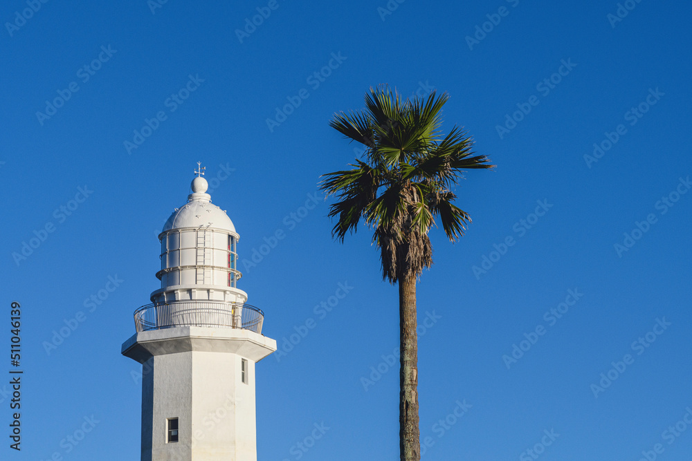 野島崎灯台と椰子の木