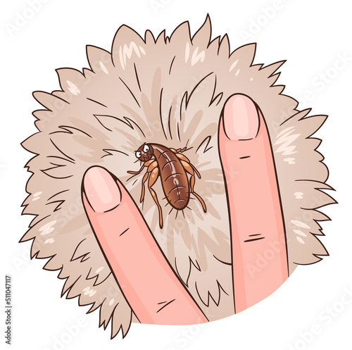 Pet owner finds flea in animal fur. Cartoon flea on pet fur vector illustration. Cartoon flea series. 