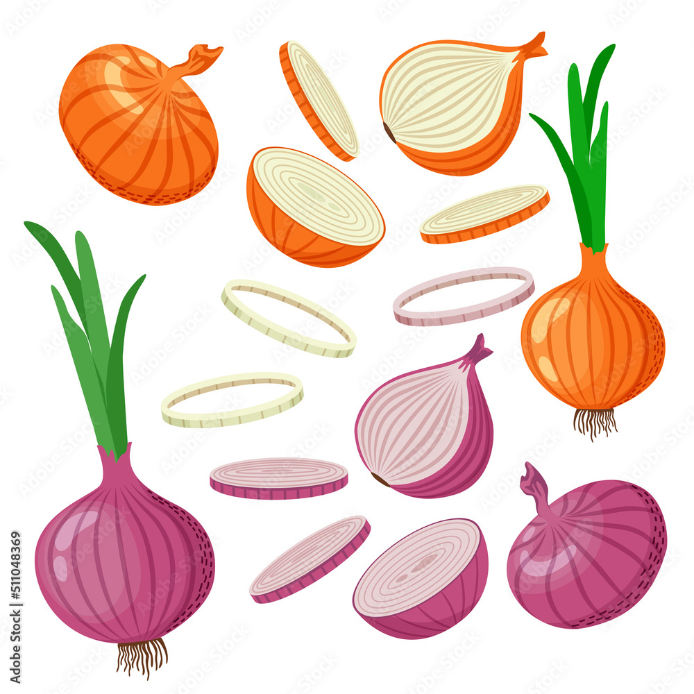 Set of yellow and red onions with green leaves, onion halves, slices. Vector illustration in flat style isolated on white background. - obrazy, fototapety, plakaty 