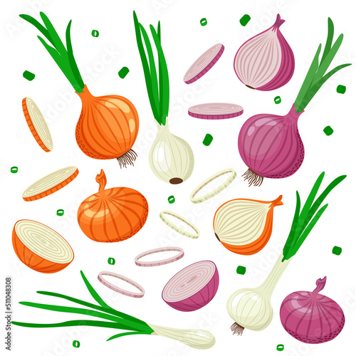 Set of yellow, red and green onion with leaves, halves, slices of onion. Vector illustration in flat style isolated on white background.