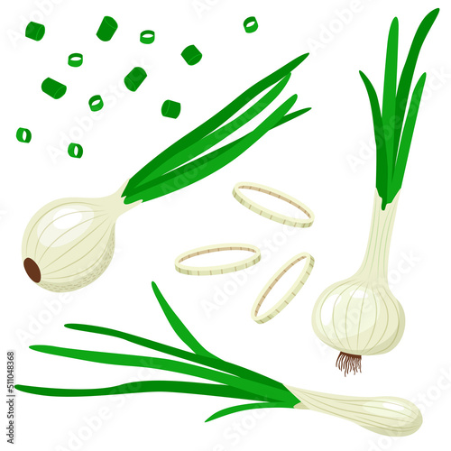 Set of green onions with leaves and onion rings. Vector illustration in flat style isolated on white background.