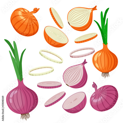 Photo Set of yellow and red onions with green leaves, onion halves, slices