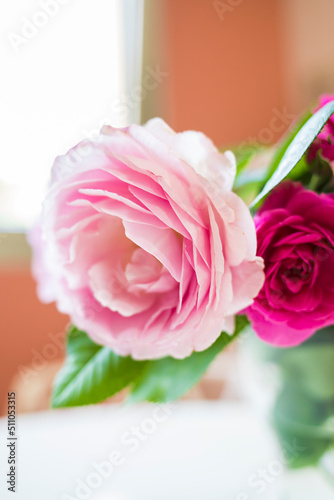 Fototapeta Naklejka Na Ścianę i Meble -  Detail of a pink rose in a glass vase