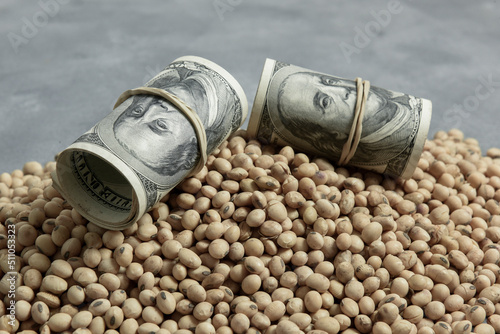 Dollars banknotes and coins and soy beans,oleaginous commoditi value concept. photo