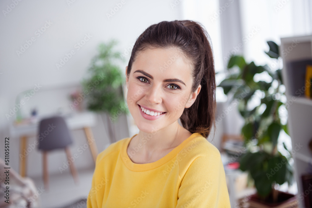 Portrait of attractive cheerful brown-haired girl housekeeper resting spending weekend spare time at home house flat indoors Portrait of attractive cheerful brown-haired girl housekeeper resting spending weekend spare time at home house flat indoors
