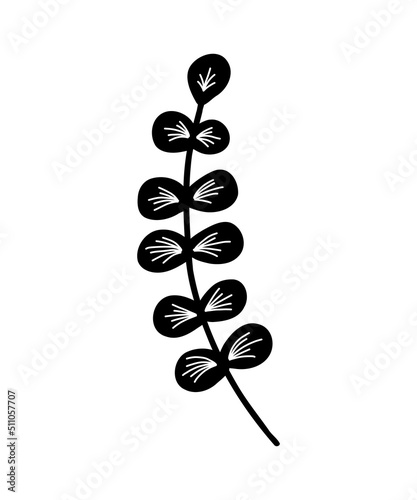 Vector branch icon. Tree branch. Tree branch silhouette icon, clip art, doodle style. Hand Drawing. Floral Decorative Branch of a Plant with Leaves. Evkalipt. photo