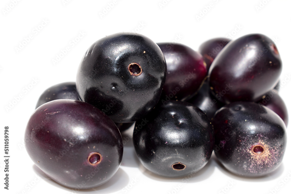 Java plum fruit isolated on white background Java plum fruit isolated on white background