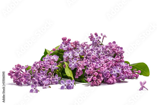 Lilac flowers bouquet isolated on a white background. Springtime concept, floral element