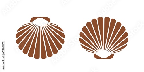 Scallop logo. Isolated scallop  on white background photo