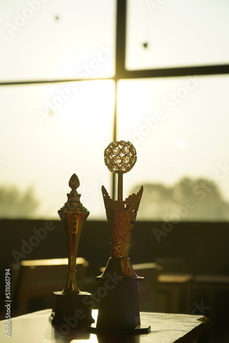 Beautiful golden trophies naturel photography and gives special moments....first price
