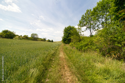 A dusty path around field in spring day under blue sky with clouds.