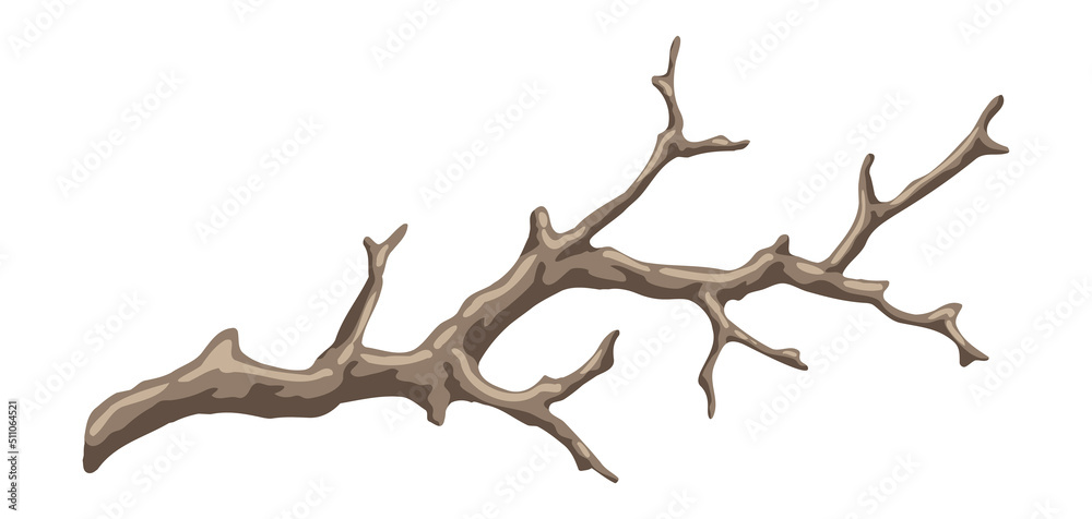 Illustration of dry bare branch. Decorative natural twig.