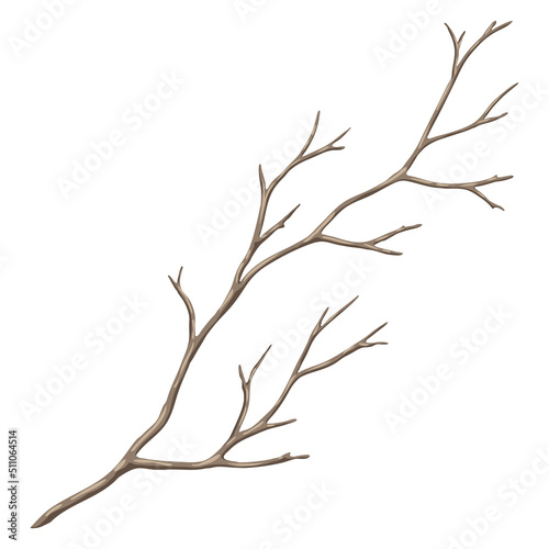 Illustration of dry bare branch. Decorative natural twig.