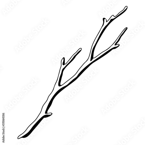 Illustration of dry bare branch. Decorative natural twig.
