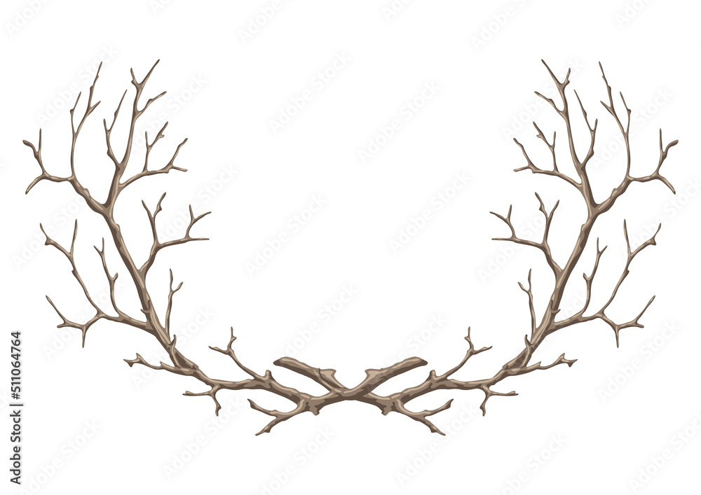 Fototapeta premium Frame with dry bare branches. Decorative natural twigs.
