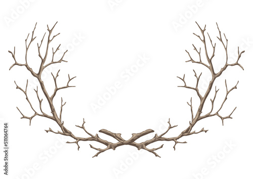 Frame with dry bare branches. Decorative natural twigs.