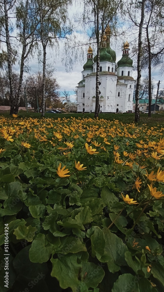 Ukraine, Nizhyn