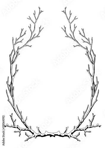 Frame with dry bare branches. Decorative natural twigs.