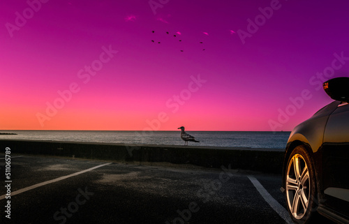 Seascape at sunrise on the parking lot of Cape Cod beach with a seagull walking on the concrete bank. Dramatic pink and purple sky over the ocean horizon.