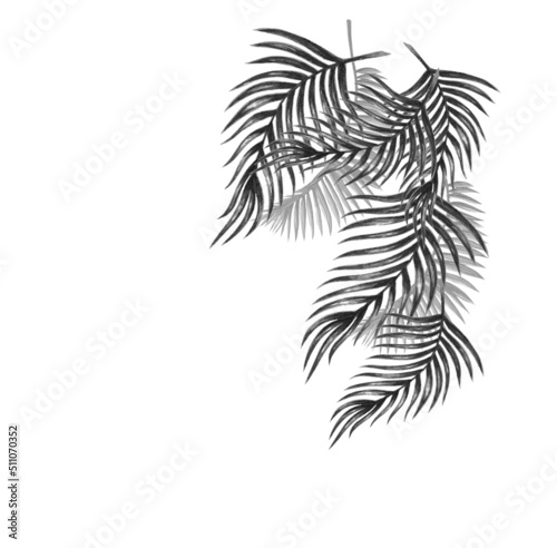 tropical mono leave print design