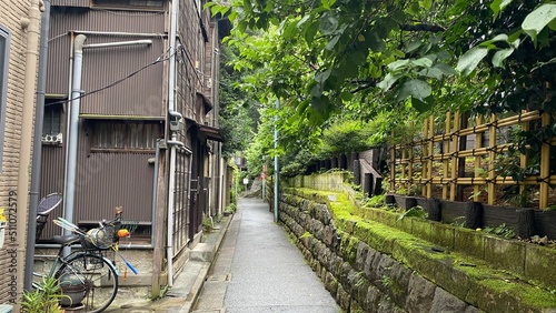 Photography The base of Japanese shrine “Yushima Tenjin”, the stone walls are covered with moss