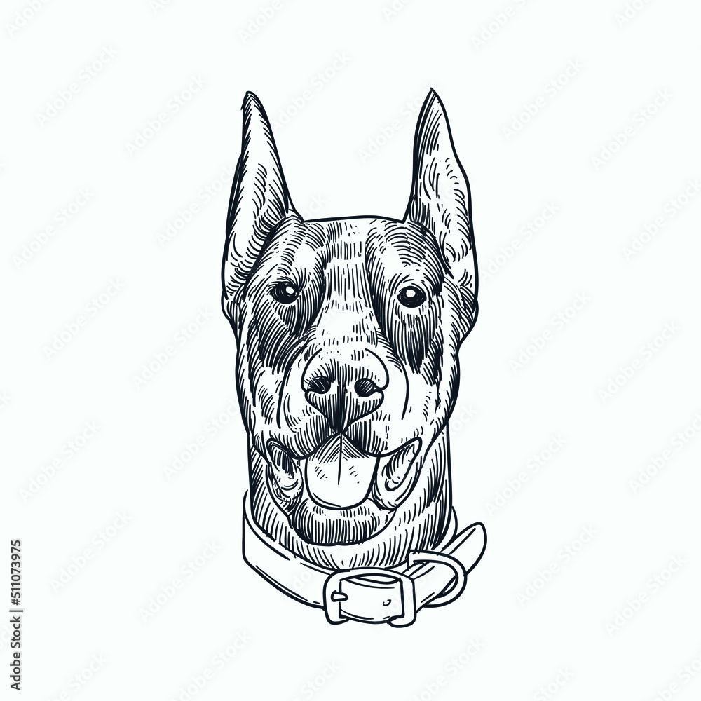Vintage hand drawn sketch dog head
