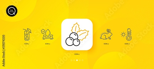Animal tested, Flood insurance and Christmas holly minimal line icons. Yellow abstract background. Weather thermometer, Water glass icons. For web, application, printing. Vector