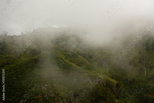 Aerial view of Fog and clouds among tea estates. Tea plantations in the mountains of Sri Lanka. Lipton's Seat.