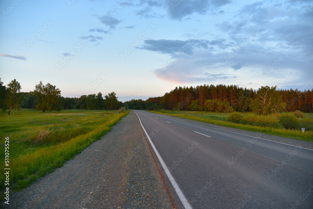 Asphalt road in the forest in the evening Asphalt road in the forest in the evening
