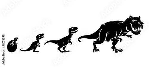 Fototapeta Naklejka Na Ścianę i Meble -  Tyrannosaurus Rex Growth Progression, Silhouette Illustration