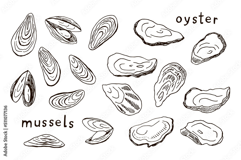 PrintOysters and mussels vector illustrations line set PrintOysters and mussels vector illustrations line set