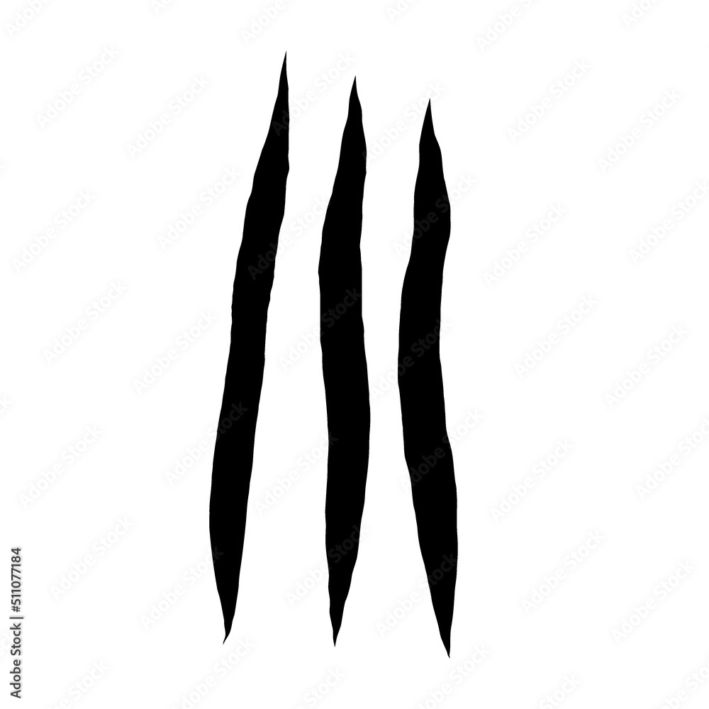 Cat scratches. Black claws animal scratch, Torn paper. Cat claws trace. Vector illustration on black background. Cat scratches. Black claws animal scratch, Torn paper. Cat claws trace. Vector illustration on black background.