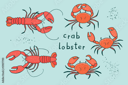 Crab and lobster sea animals vector illustrations set