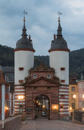 Famous Heidelberg Old Bridge Towers in the early morning
